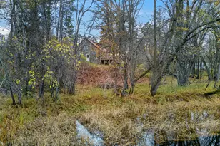 307 Ottum Ave, Bigfork, MN 56628 - Photo 46