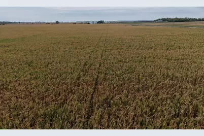 Tbd County Rd 39, Borup, MN 56519 - Photo 2