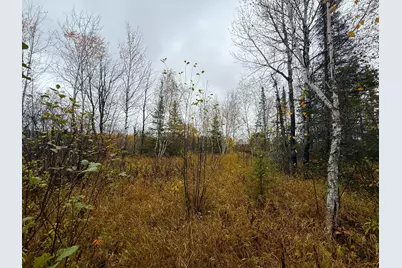 75Xx Metske Road, Eveleth, MN 55734 - Photo 26