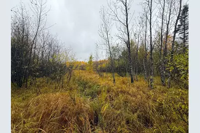 75Xx Metske Road, Eveleth, MN 55734 - Photo 24