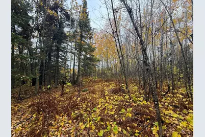 75Xx Metske Road, Eveleth, MN 55734 - Photo 18