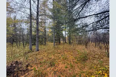 75Xx Metske Road, Eveleth, MN 55734 - Photo 28