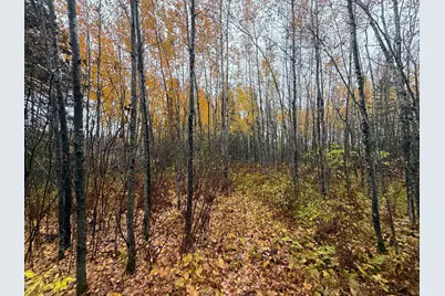 75Xx Metske Road, Eveleth, MN 55734 - Photo 16