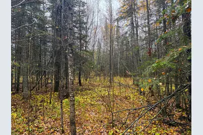 75Xx Metske Road, Eveleth, MN 55734 - Photo 12