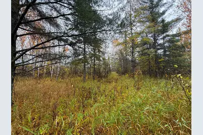 75Xx Metske Road, Eveleth, MN 55734 - Photo 8