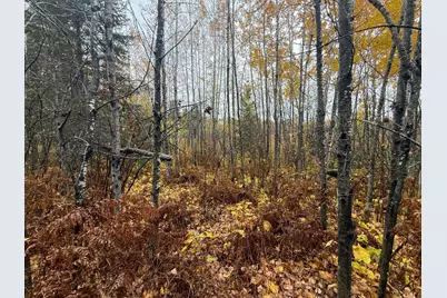 7Xxx Metske Road, Eveleth, MN 55734 - Photo 26