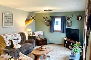 111 Muyres Ave, Carlos, MN 56319 - Photo 12