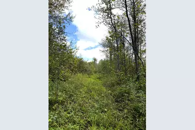 Tbd Easement Trail, Barnum, MN 55707 - Photo 4