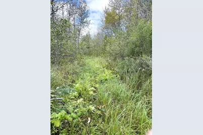 Tbd Easement Trail, Barnum, MN 55707 - Photo 2