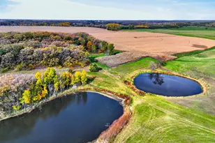 20172 County 2, Sauk Centre Township, MN 56378 - Photo 102