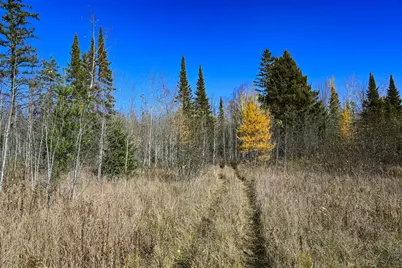 0000 Township Road 5743, Alborn, MN 55702 - Photo 26