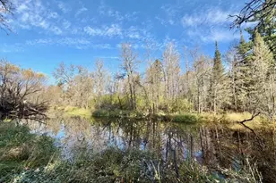 309 W Vermilion Dr, Cook, MN 55723 - Photo 40