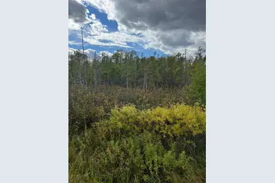 Xxx County Rd 1, Emily, MN 56447 - Photo 12