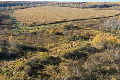 36963 Skyview Road, Hillman, MN 56338 - Photo 70