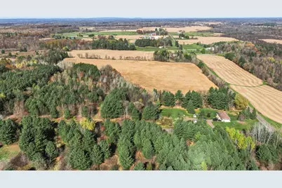 34.7 Acres 250th St, Cadott, WI 54727 - Photo 6