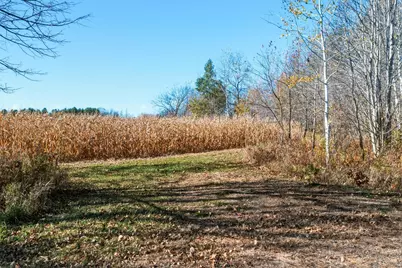 34.7 Acres 250th St, Cadott, WI 54727 - Photo 22