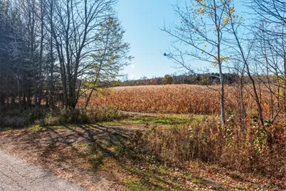 34.7 Acres 250th St, Cadott, WI 54727 - Photo 24