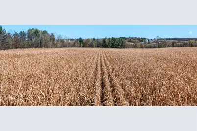 34.7 Acres 250th St, Cadott, WI 54727 - Photo 14