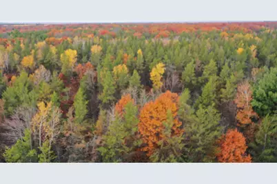 Xxx Bloom Road, Grantsburg, WI 54840 - Photo 2