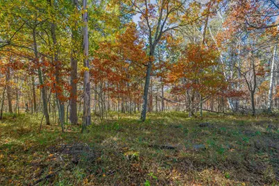 17312 County 40, Park Rapids, MN 56470 - Photo 82