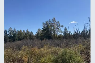 Tbd Nett Lake Rd, Orr, MN 55771 - Photo 8