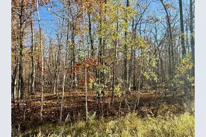 82052 Schoumaker Road, Willow River, MN 55795 - Photo 2