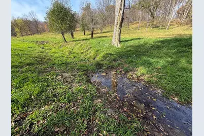 9263 88th Avenue NW, Pine Island, MN 55963 - Photo 6