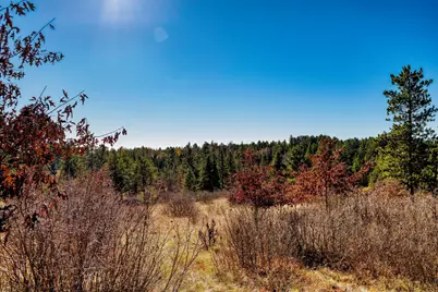 39346 County 4, Lake George Township, MN 56458 - Photo 38