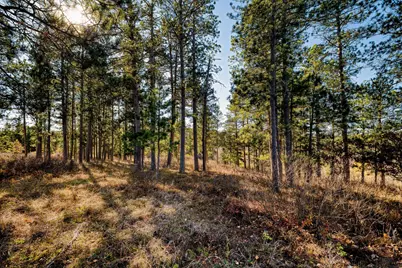39346 County 4, Lake George Township, MN 56458 - Photo 36