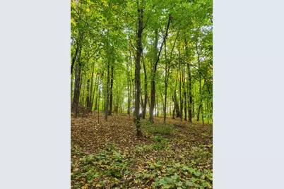 11320 Highway 7, Watertown, MN 55388 - Photo 38