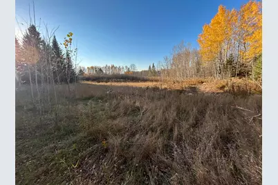 10629 Town Rd 34, Mizpah, MN 56660 - Photo 1