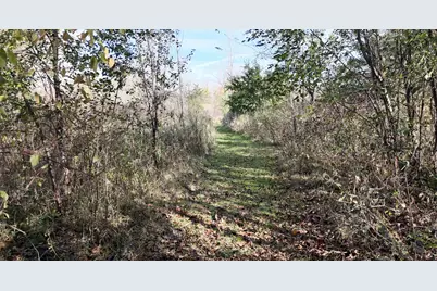 11832 County Road 51, Saint Joseph, MN 56374 - Photo 114