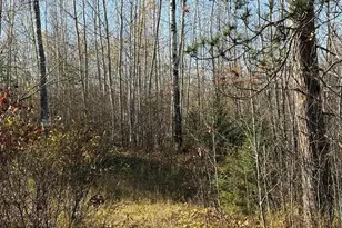 93359 MN-23, Holyoke, MN 55749 - Photo 1