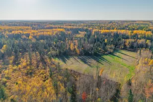 Tbd-37Ac Cty Rd 11, Barnum, MN 55707 - Photo 1