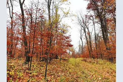 Tbd County Road 31, Aitkin, MN 56431 - Photo 26
