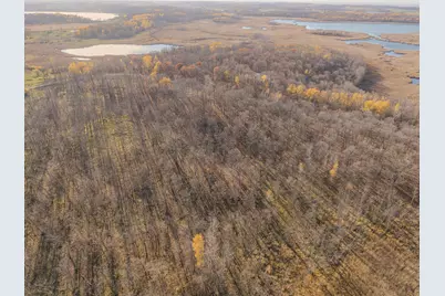 Tbd Whiskey Creek Drive, Detroit Lakes, MN 56501 - Photo 16