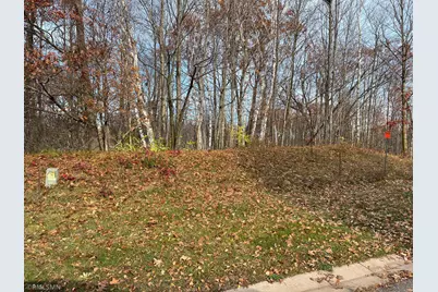 Lot 8 Wilderness Hills Lane, Luck, WI 54853 - Photo 1