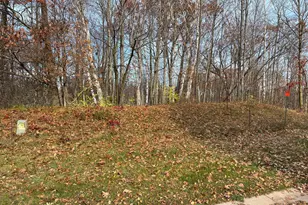 Lot 8 Wilderness Hills Ln, Luck, WI 54853 - Photo 1