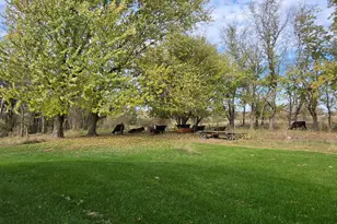 3321 430th St, Nerstrand, MN 55053 - Photo 1