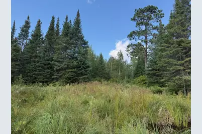 Xyz No Name Road, Aurora, MN 55705 - Photo 2