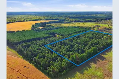 Parcel 1 (10 Acres) 148th Street, Staples, MN 56479 - Photo 2