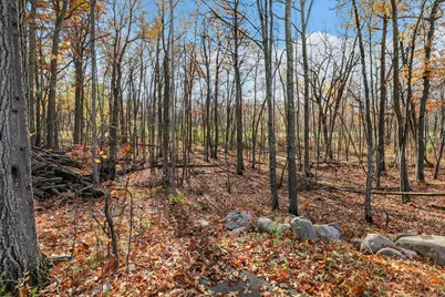 9747 Pine Point Road NW, Walker, MN 56484 - Photo 14