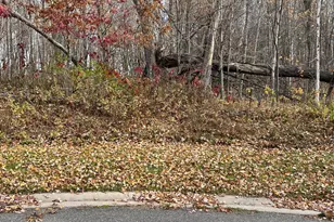Lot 16 Wilderness Hills Ln, Luck, WI 54853 - Photo 1
