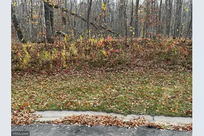 Lot 17 Wilderness Hills, Luck, WI 54853 - Photo 2