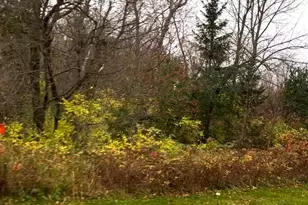 Lot 25 Wilderness Hills Ln, Luck, WI 54853 - Photo 1