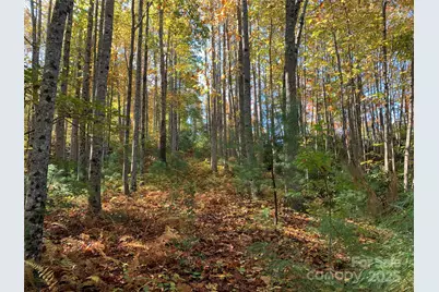 Lot# 556 Timber Rock Drive, Lenoir, NC 28645 - Photo 1