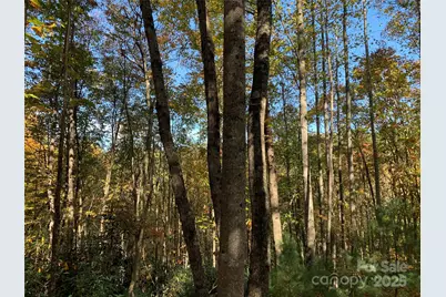 Lot# 556 Timber Rock Drive, Lenoir, NC 28645 - Photo 6