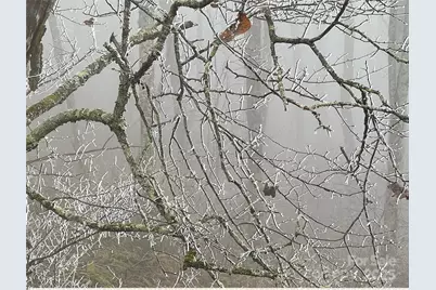 Lot #39 Ridge Top Circle, Clyde, NC 28721 - Photo 20