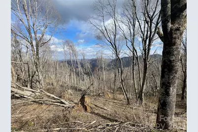 Lot #39 Ridge Top Circle, Clyde, NC 28721 - Photo 4