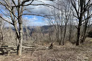 Lot #39 Ridge Top Circle, Clyde, NC 28721 - Photo 1